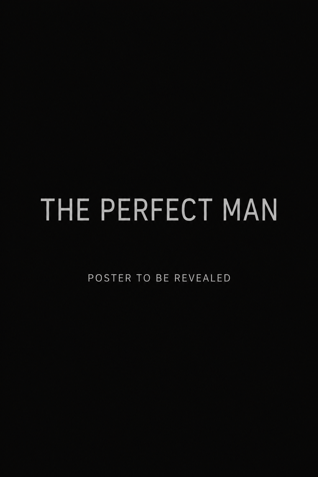 The Perfect Man poster placeholder